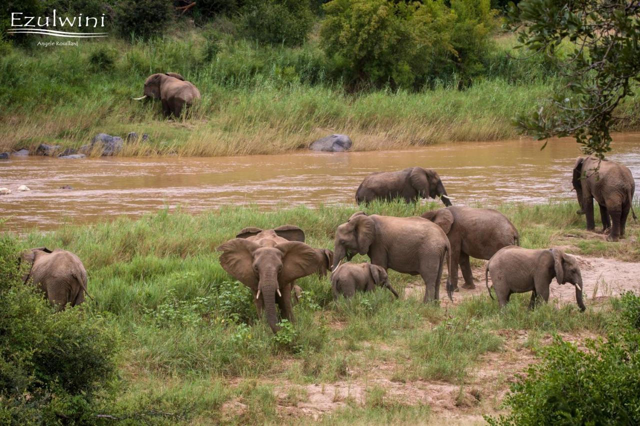 Ezulwini Game Lodges Mica Bagian luar foto