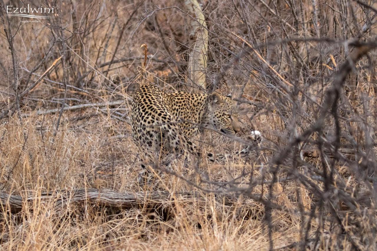 Ezulwini Game Lodges Mica Bagian luar foto