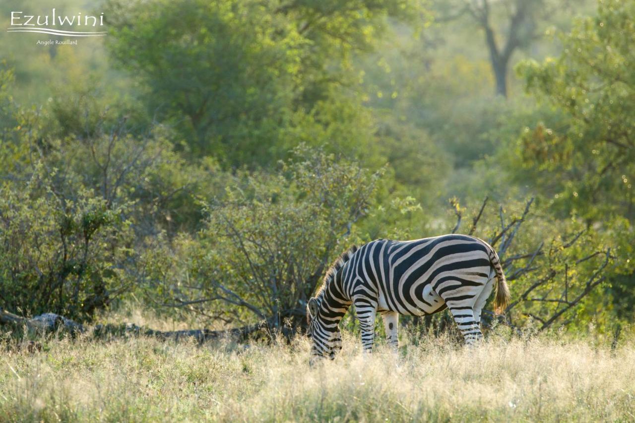 Ezulwini Game Lodges Mica Bagian luar foto