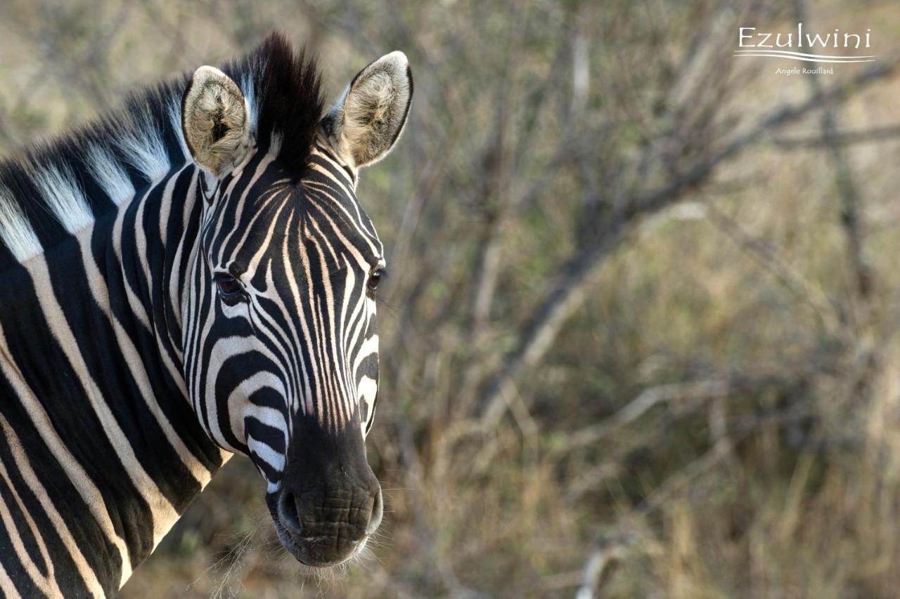 Ezulwini Game Lodges Mica Bagian luar foto