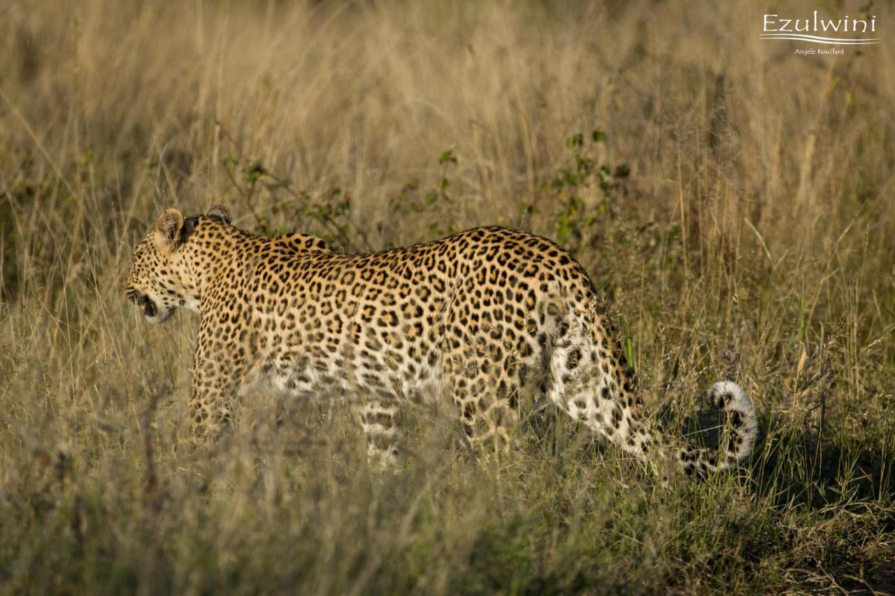 Ezulwini Game Lodges Mica Bagian luar foto