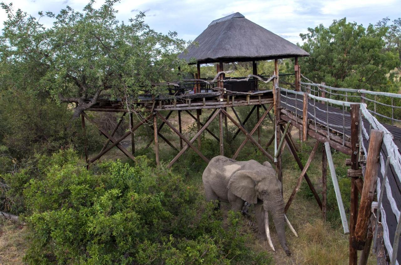 Ezulwini Game Lodges Mica Bagian luar foto